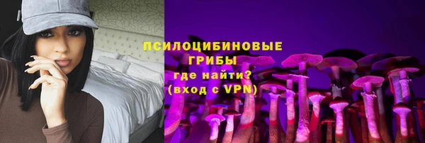 индика Бронницы